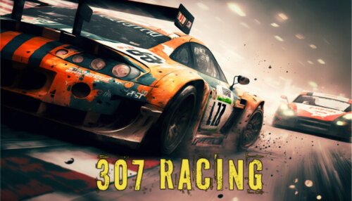 Download 307 Racing