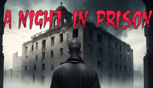 Download A Night in Prison