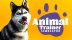 Download Animal Trainer Simulator