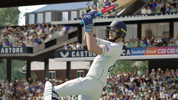 Cricket 24 Download Free