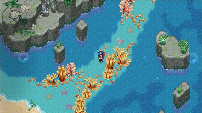 CrossCode: A New Home Download Free