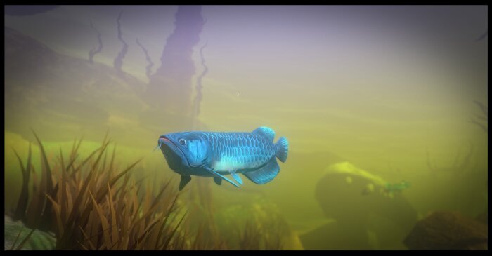 Feed and Grow: Fish Download Free