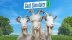 Download Goat Simulator 3 (Epic)