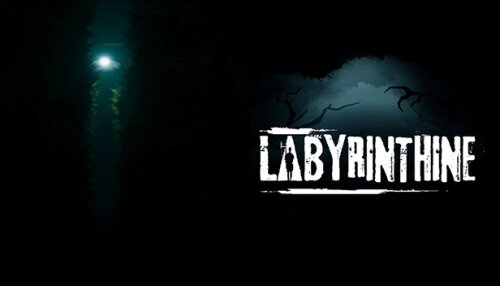 Download Labyrinthine