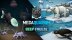 Download Megaquarium: Deep Freeze - Deluxe Expansion (GOG)