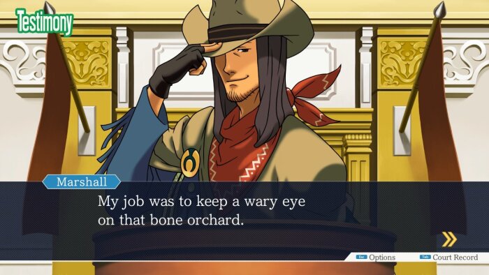 Phoenix Wright: Ace Attorney Trilogy Free Download Torrent