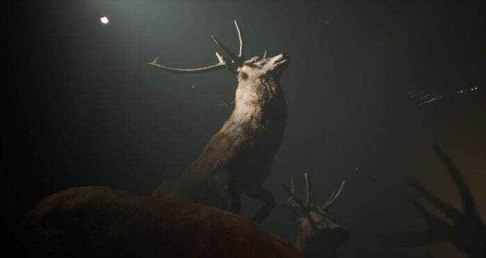 Project 13: Taxidermy Trails Download Free