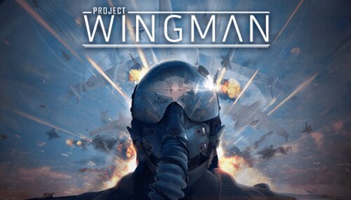 Download Project Wingman