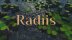Download Radiis