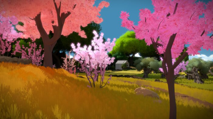 The Witness PC Crack