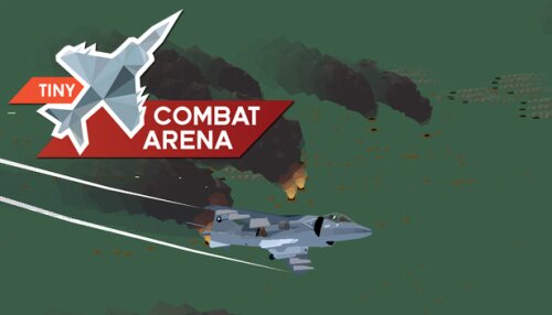 Download Tiny Combat Arena