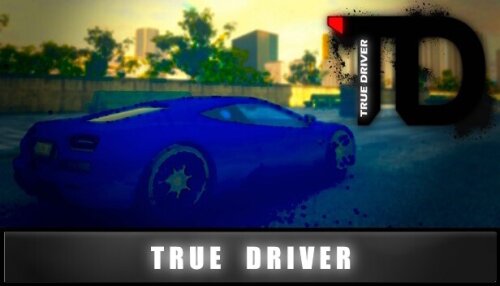 Download True Driver