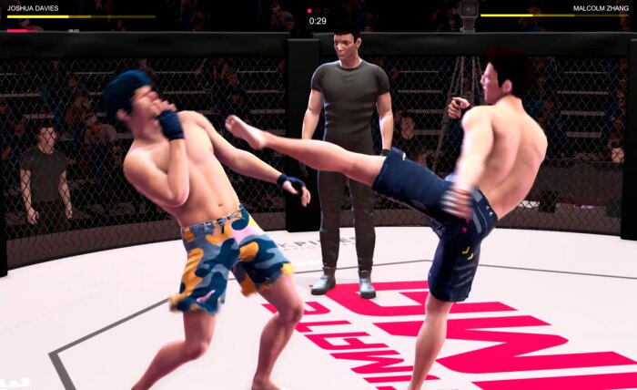 Ultimate MMA Download Free