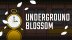 Download Underground Blossom