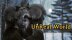 Download UnReal World