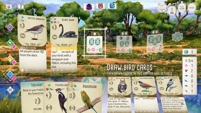 Wingspan: Oceania Expansion Download Free