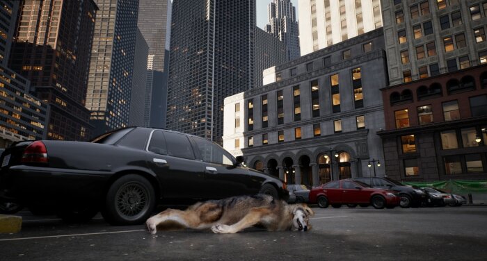 WOLF IN THE CITY Crack Download